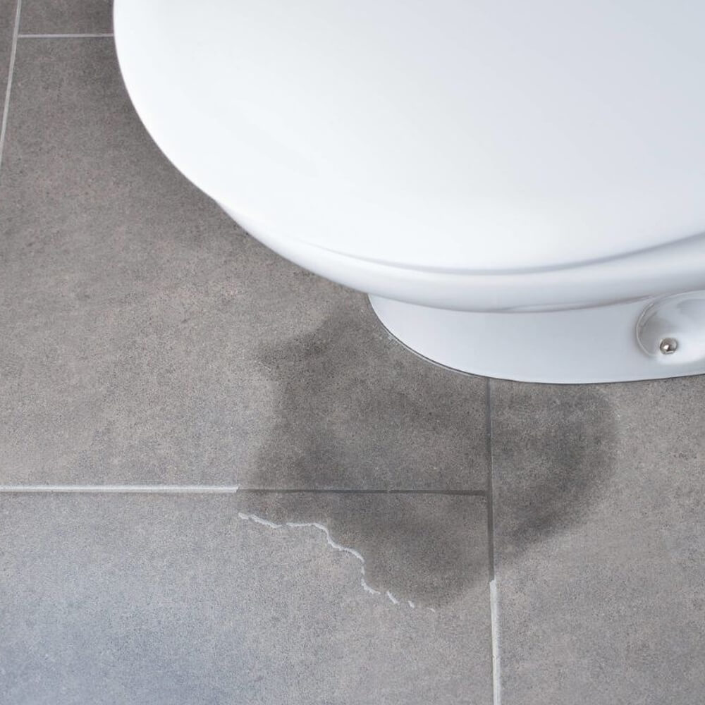 Toilet Plumbing